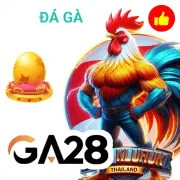 z188 Game 07